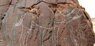 Remarkable Neolithic Life-Sized Camel Engravings Discovered In The Nefud Desert