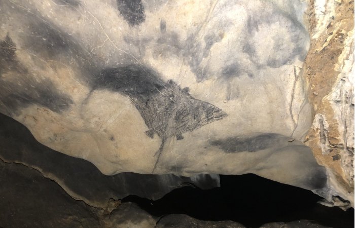 New Dating Of Intriguing Cave Art Reveals History Of Puerto Rican People