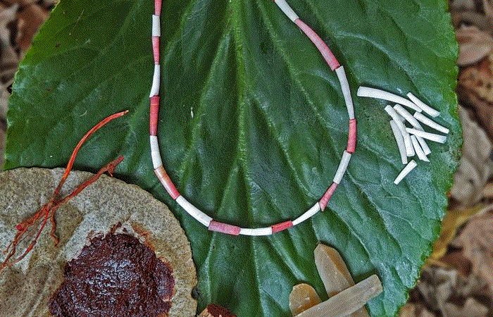 Shell Beads Found Kebara Cave Are The Oldest Known Use Of Organic Red Pigments