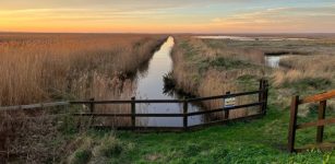 Mysterious History Of Fenland: The UK's Possible Link To A Megadrought That Led To The Collapse Of Civilisations Around The World