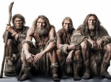 Neanderthals Cared For Each Other And Survived Into Old Age - Study Shows