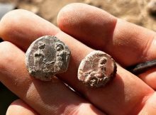 More Than 2,000 Seal Impressions Found In The Ancient City Of Doliche