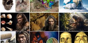 Top 10 Discoveries About Our Ancient Ancestors In 2023