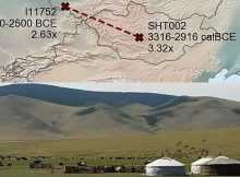 Revealing Relatives In Ancient DNA With Unprecedented Precision