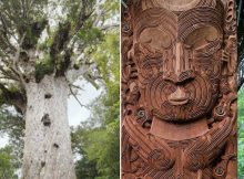 Tane: Lord Of The Forest Who Brought Three Baskets Of Knowledge To People In Maori Mythology