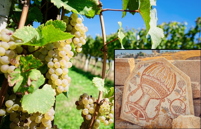 Ancient Roman Wine Production May Hold Clues For Battling Climate Change