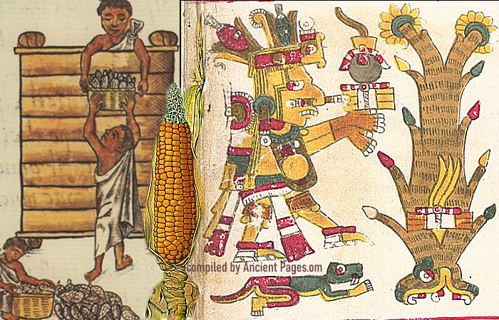 Centeotl: Lord Of Maize Who Was Revered Before The Olmecs By All Mesoamerica's Inhabitants