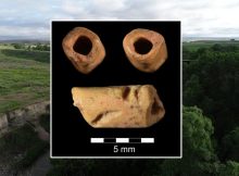 Oldest Bead In America Discovered At La Prele Mammoth Site, Wyoming