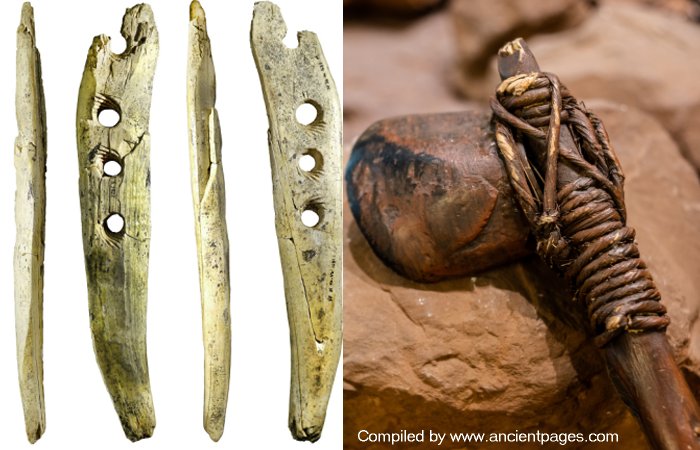 Rare Mammoth Ivory Tool Offers Evidence Of Ropemaking In Central Europe 35,000 Years Ago