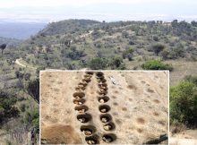 'Arcade' Of Ancient Mancala Game Boards Carved Into Rock Found In Lewa Wildlife Conservancy, Kenya