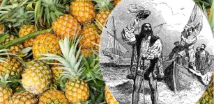 Why Was The Pineapple A Status Symbol Once?