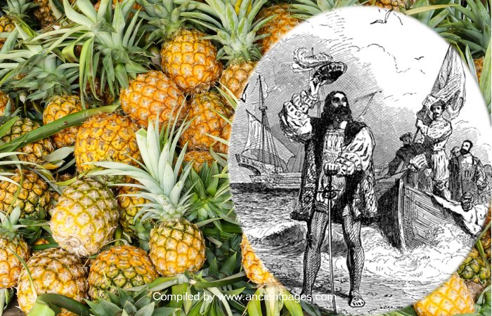 Why Was The Pineapple A Status Symbol Once?