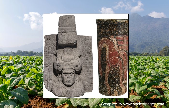 Ancient Mesoamericans Drunk Tobacco In Healing Rituals - Ceramic Vases From Cotzumalhuapa, Guatemala Reveal