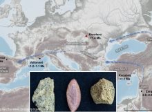 First Humans Appeared In Europe 1.4 Million Years Ago - Stone Tools Found At Korolevo Reveal