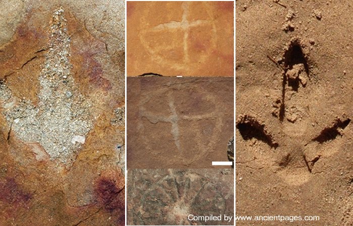 Intriguing Collection Of Petroglyphs And Dinosaur Footprints Found At The Serrote do Letreiro Site, Brazil