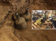 European-Made Sealed Bottles Of Cherries Dated To The 1700s Found At Washington’s Mount Vernon