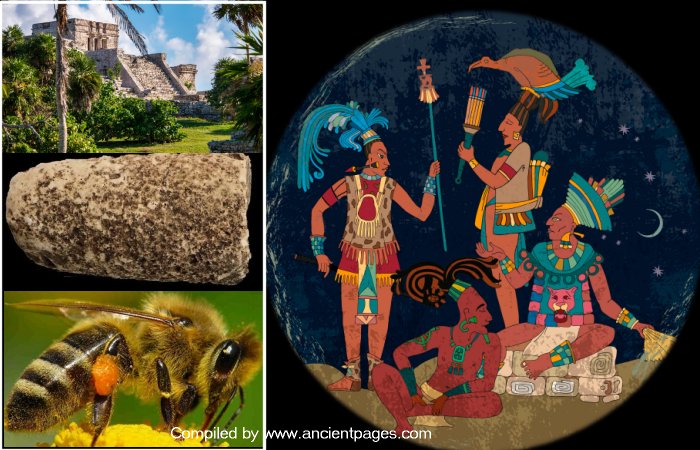 Melipona Beecheii - Sacred Ancient Maya Beekeeping Site Discovered In Quintana Roo, Mexico