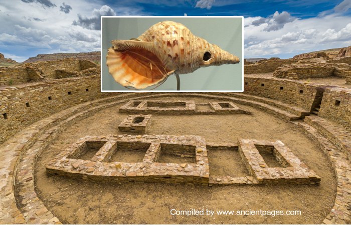 Why Were Conch-Shell Trumpets So Important To The Ancient Chacoan Society?