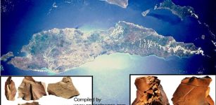 Thousand Unearted Artifacts Reveal 'Major' Ancient Migration To Timor Island