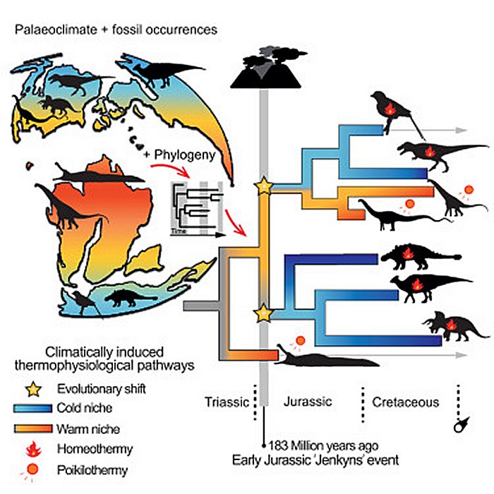 First ‘Warm-Blooded’ Dinosaurs Evolved 180 Million Years Ago - Ancient ...