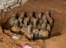 18th Century Glass Bottles With Perfectly Preserved Cherries And Berries Found At George Washington's Mount Vernon