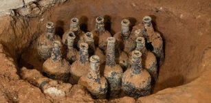 18th Century Glass Bottles With Perfectly Preserved Cherries And Berries Found At George Washington's Mount Vernon