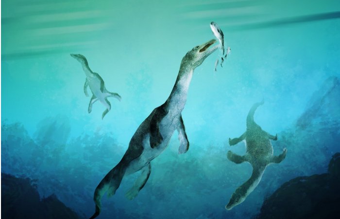 Oldest Polar Sea Reptile Fossil Ever Found In Southern Hemisphere