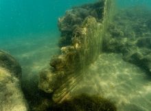 Submerged Roman Villa Discovered On The Coast Of Cerveteri, Italy