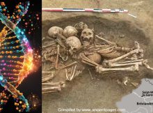 A 4,500-Year-Old Collective Tomb In France Reveals Its Secret - The Final Stage In The Formation Of The 'European Genome'