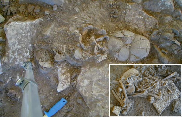 DNA Analyses Suggest The Plague Contributed To Stone Age Farmers' Decline