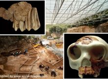 850,000-Year-Old Remains Of Homo Antecessor Found At Atapuerca, Spain