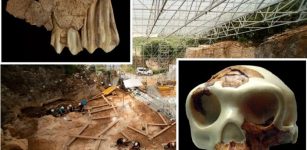 850,000-Year-Old Remains Of Homo Antecessor Found At Atapuerca, Spain