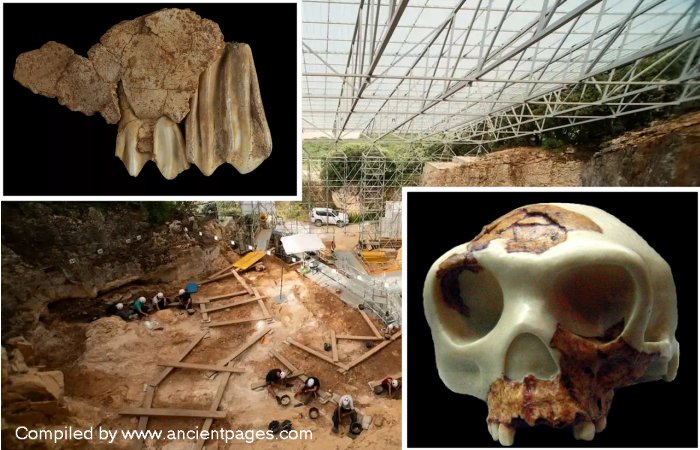 850,000-Year-Old Remains Of Homo Antecessor Found At Atapuerca, Spain