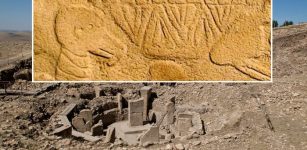 World's Oldest Lunisolar Calendar May Have Been Discovered At Göbekli Tepe, Turkey