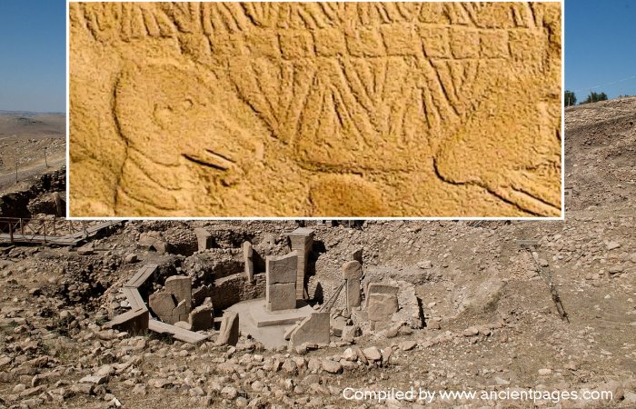 World's Oldest Lunisolar Calendar May Have Been Discovered At Göbekli Tepe, Turkey