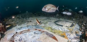 Amazing Ancient Roman Marble Floor Found In The Underwater City Of Baiae, Italy