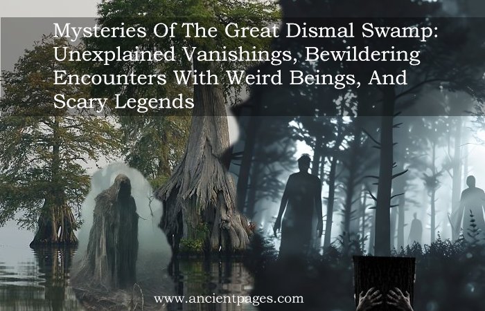 Mysteries Of The Great Dismal Swamp – Unexplained Vanishings, Bewildering Encounters With Weird Beings, And Scary Legends