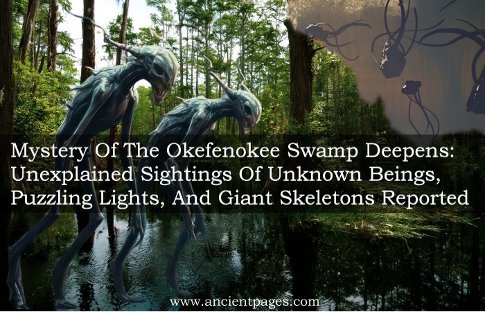 Mystery Of The Okefenokee Swamp Deepens: Unexplained Sightings Of Unknown Beings, Puzzling Lights, And Giant Skeletons Reported