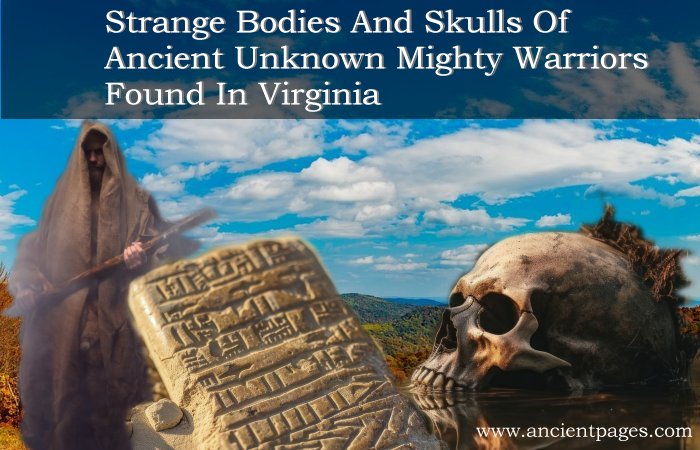 Strange Bodies And Skulls Of Ancient Unknown Mighty Warriors Found In Virginia