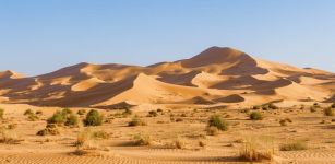 Understanding The Green Sahara’s Collapse