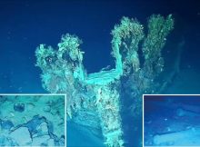 New Treausures Found On The Legendary Shipwreck San José Near Colombia