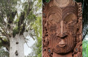 Tāne: Lord Of The Forest Who Brought Three Baskets Of Knowledge To People In Maori Mythology