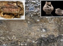 Unique Early Alemannic Chamber Grave discovered In Gerstetten, Germany