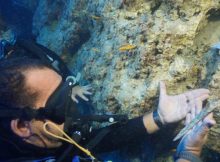 3,600-Year-Old Bronze Dagger Made By The Minoan Civilization Found On Ancient Shipwreck