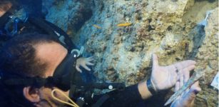 3,600-Year-Old Bronze Dagger Made By The Minoan Civilization Found On Ancient Shipwreck