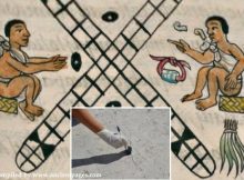 Ancient Mesoamerican Board Games 'Patollis' Discovered In Mexico