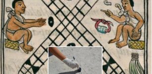 Ancient Mesoamerican Board Games 'Patollis' Discovered In Mexico