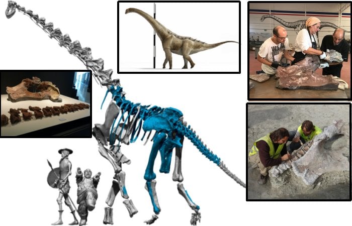 Qunkasaura: New Sauropod Dinosaur From The Cretaceous Discovered In The Iberian Peninsula