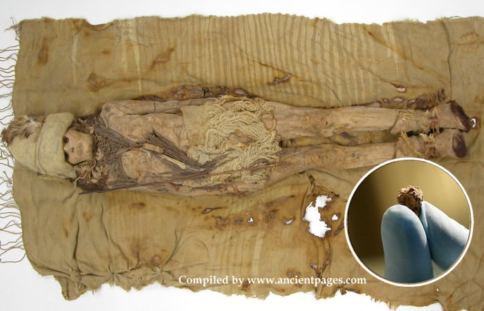 Mysterious White Mass Found On The Heads Of The Tarim Basin Mummies Identified