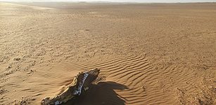 Ancient Human Traces Found In The Inhospitable Namib Desert